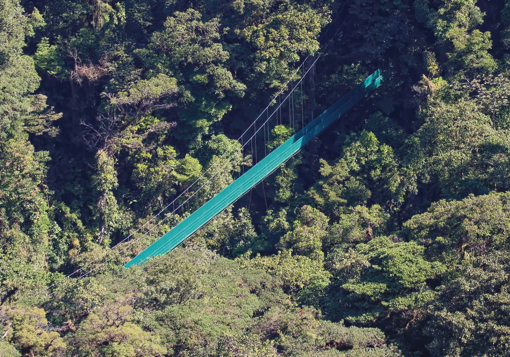A suspension bridge in Monteverde