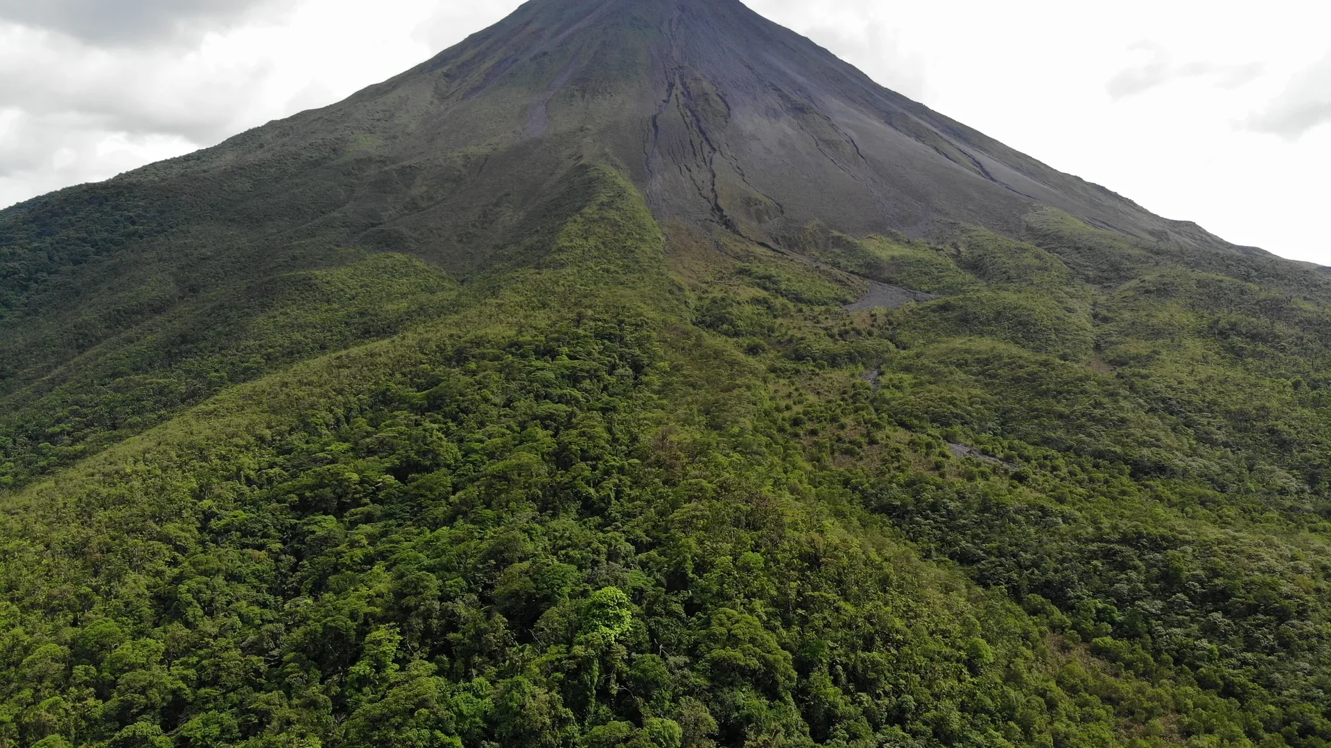 Arenal Volcano above the rainforest. Photo: Joshua ten Brink / WildPhotography.com