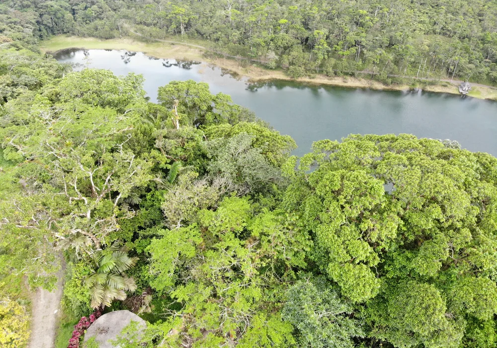 Lake Arenal. Photo: Joshua ten Brink / WildPhotography.com