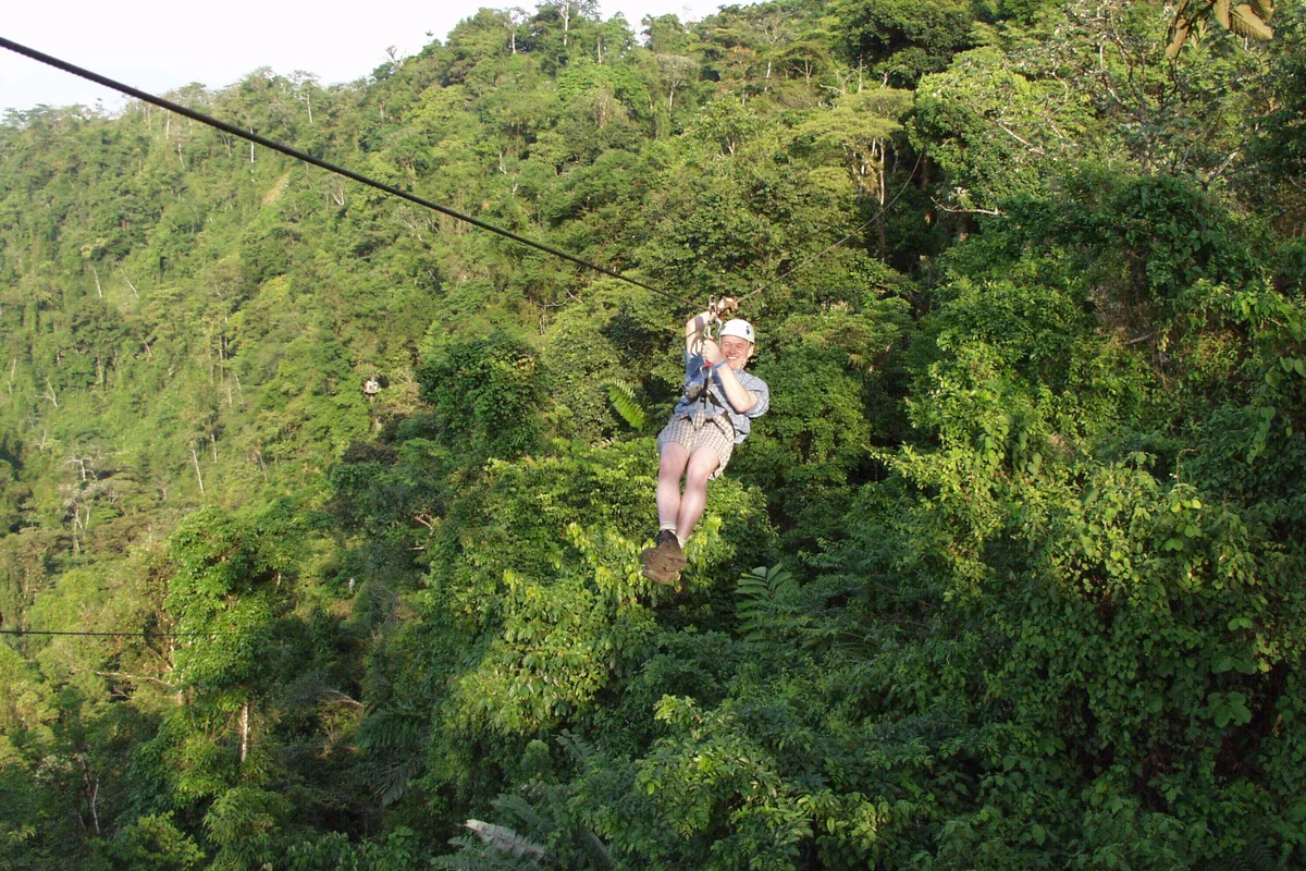 A zipline canopy tour in the forest (representative)