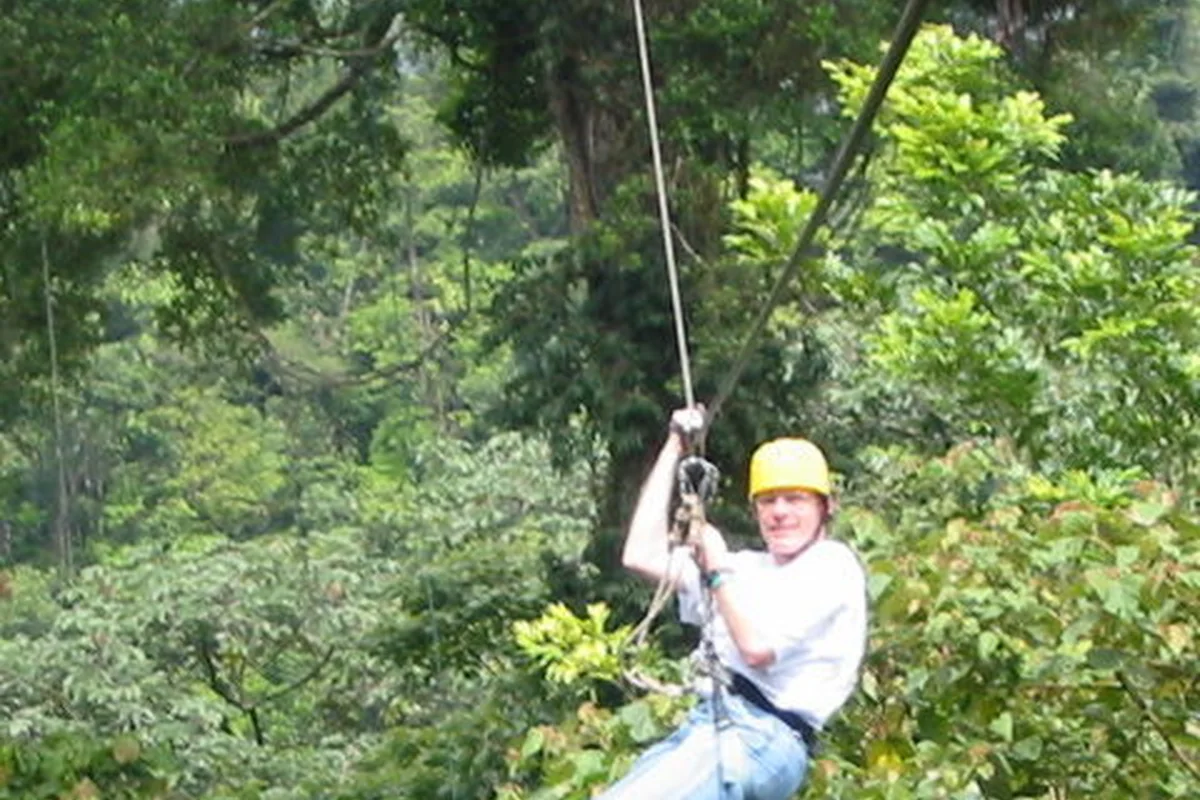 A zipline over rainforest treetops (representative)